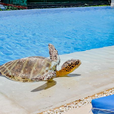 Villa Del Pescador Сиуатанехо Екстериор снимка
