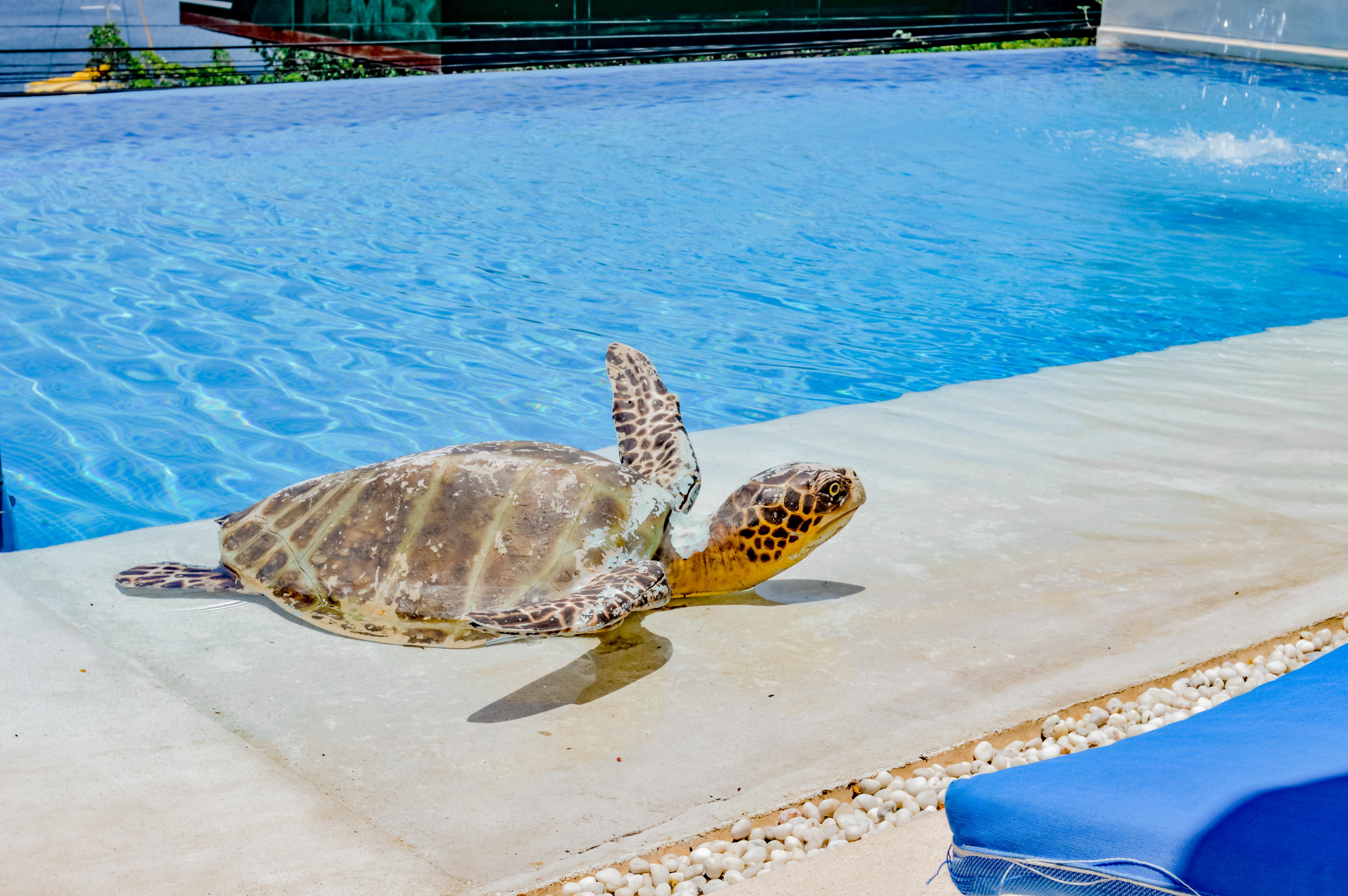 Villa Del Pescador Сиуатанехо Екстериор снимка